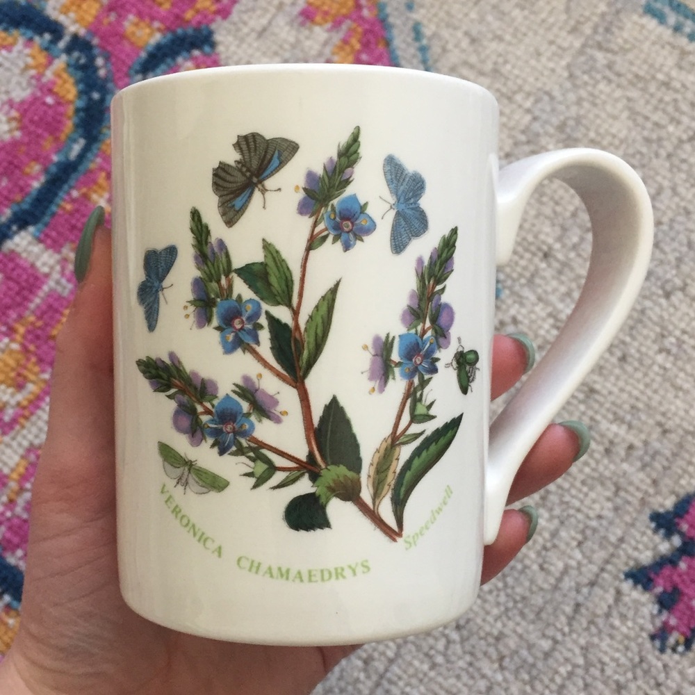 portmeirion botanic garden- Mug